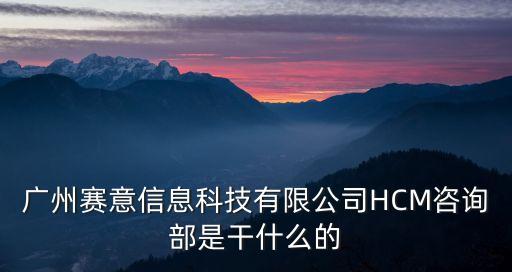 廣州賽意招聘，廣州賽意信息科技有限公司HCM咨詢部是干什么的