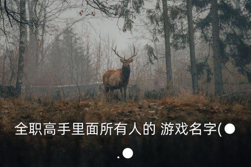 全職高手里面所有人的 游戲名字(●.●