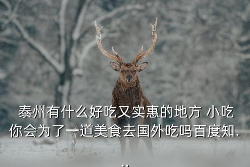  泰州有什么好吃又實惠的地方 小吃你會為了一道美食去國外吃嗎百度知...