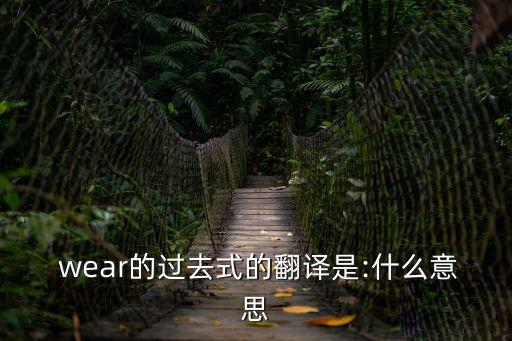 wear的意思,will的意思