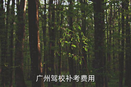 廣州駕校補考費用