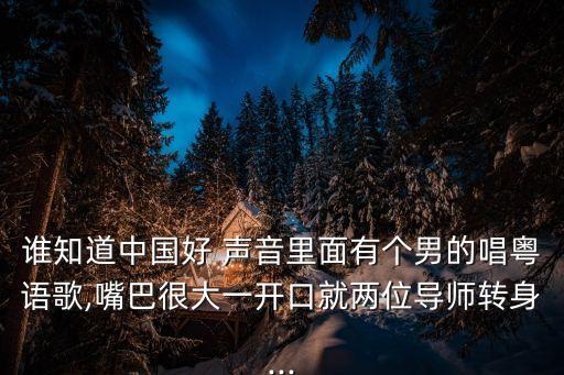 誰知道中國好 聲音里面有個男的唱粵語歌,嘴巴很大一開口就兩位導師轉身...