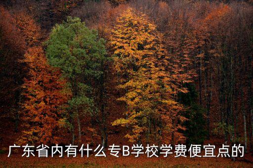 廣州華南商貿(mào)學(xué)院學(xué)費(fèi)，廣州華南商貿(mào)職業(yè)學(xué)院學(xué)費(fèi)多少
