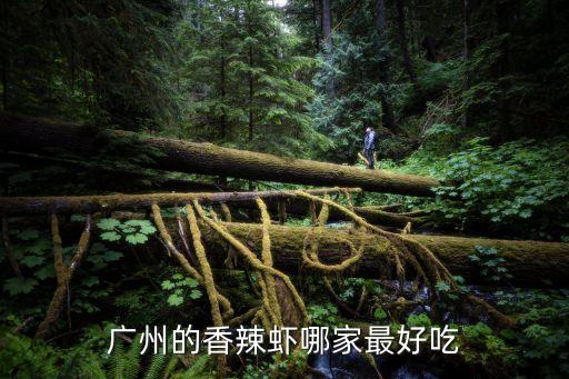 廣州祿鼎記香辣蝦，祿鼎記實在太難訂位了廣州還有哪里有推薦吃魚的地方