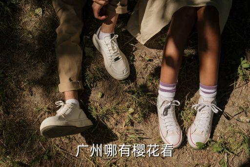 廣州哪里有看櫻花園，廣州哪有櫻花看