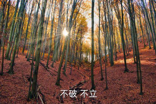  不破 不立