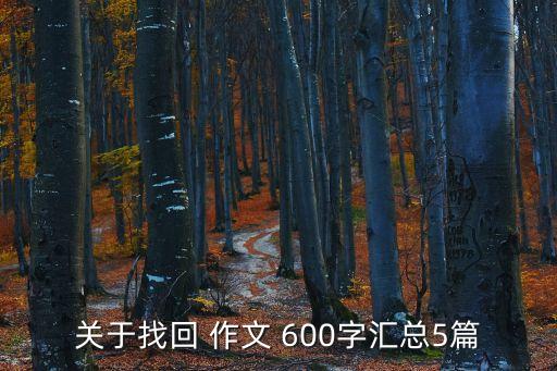 尋找作文600字,尋找初一作文600字匯總5篇