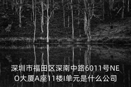 深圳市海聯達，深圳市福田區深南中路6011號NEO大廈A座11樓I單元是什么公司