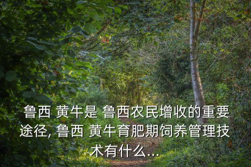 魯西黃牛,怎樣讓魯西黃牛快速育肥長膘?注意環境問題