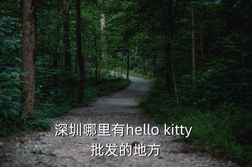 深圳小天才銷售網點，小天才電話手表哪有賣