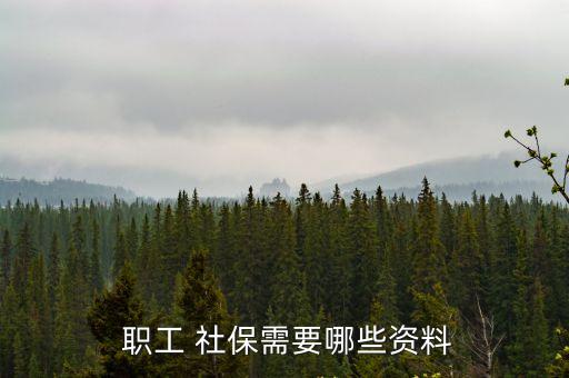 職工社保,職總社保是什么?