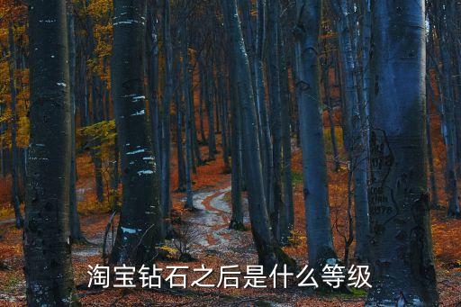 五皇冠,淘寶網(wǎng)店鋪出現(xiàn)五皇冠皇冠等級(jí)別介紹