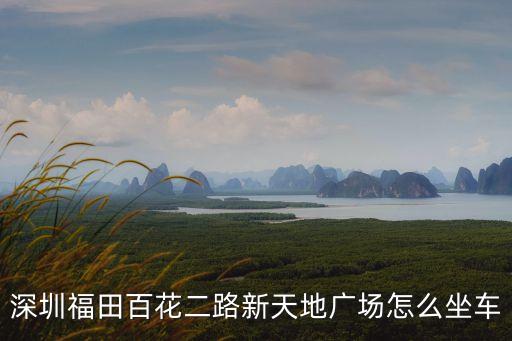 深圳福田百花二路新天地廣場怎么坐車