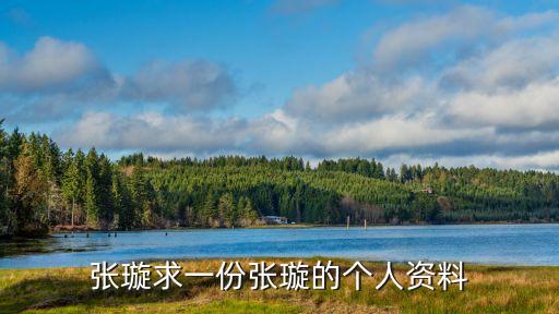 張璇求一份張璇的個人資料