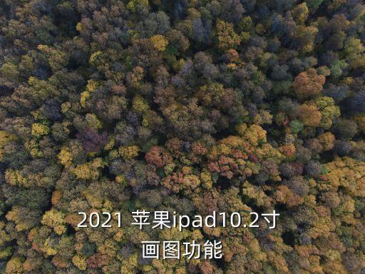 2021 蘋果ipad10.2寸 畫圖功能