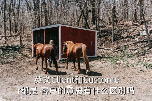 客戶英文,客戶關(guān)系管理英文
