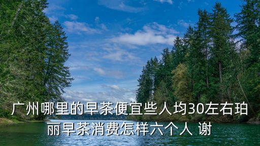 廣州哪里的早茶便宜些人均30左右珀麗早茶消費(fèi)怎樣六個(gè)人 謝
