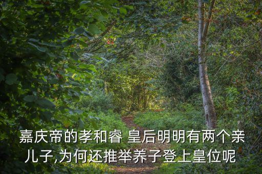  嘉慶帝的孝和睿 皇后明明有兩個親兒子,為何還推舉養(yǎng)子登上皇位呢