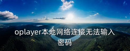 局域網共享設置軟件