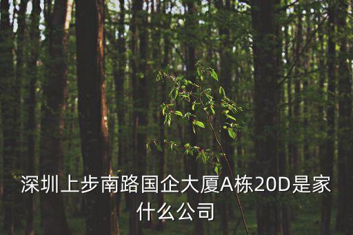 深圳上步南路國企大廈A棟20D是家什么公司