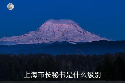 上海市職務級別，上海市長秘書是什么級別
