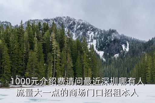 深圳中洲商場(chǎng)招租，深圳沙井博崗大廈南山海雅百貨打的要多少錢