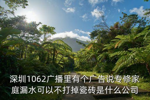 深圳1062廣播里有個廣告說專修家庭漏水可以不打掉瓷磚是什么公司