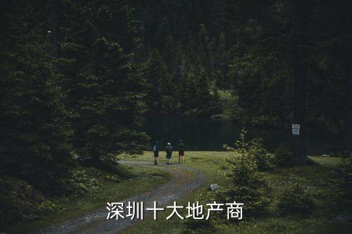深圳大型民營地產集團，深圳十大地產商