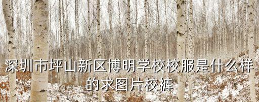 深圳校褲街拍，深圳市坪山新區博明學校校服是什么樣的求圖片校褲