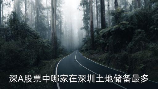 深A股票中哪家在深圳土地儲備最多