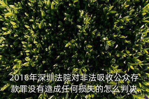 2016年深圳法院對(duì)非法吸收公眾存款罪沒有造成任何損失的怎么判決