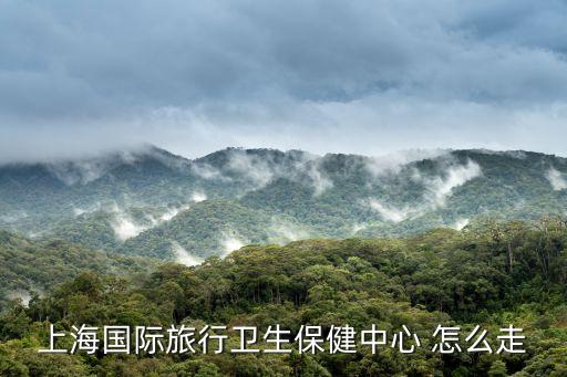 上海國際旅行衛生保健中心 怎么走
