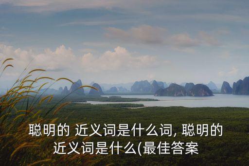 聰明近義詞,冰雪聰明近義詞
