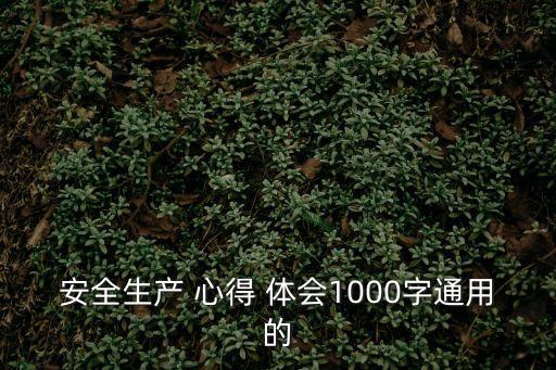 安全生產 心得 體會1000字通用的
