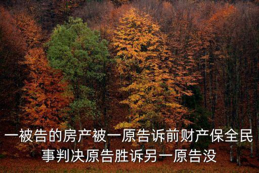 一被告的房產被一原告訴前財產保全民事判決原告勝訴另一原告沒