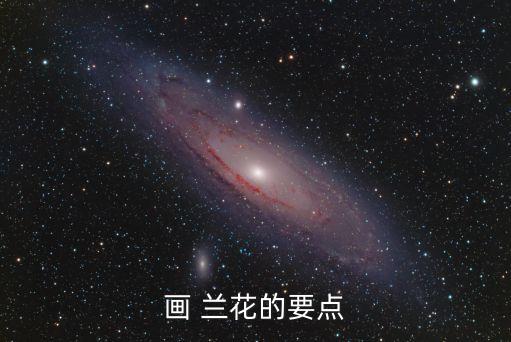 蘭花怎么畫