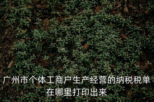廣州市個體工商戶生產經營的納稅稅單在哪里打印出來