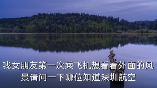 深圳航空 姚佐臣，深航的現任總經理叫什么名字