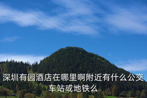 深圳有園酒店在哪里啊附近有什么公交車站或地鐵么