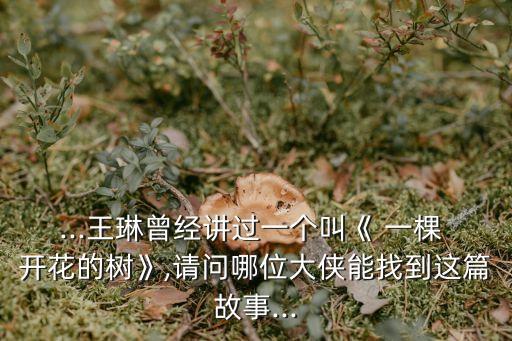 ...王琳曾經(jīng)講過(guò)一個(gè)叫《 一棵 開(kāi)花的樹(shù)》,請(qǐng)問(wèn)哪位大俠能找到這篇故事...