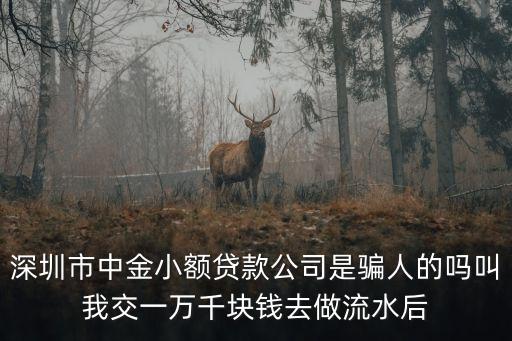 深圳中金共盈，深圳中金創盈是騙局嗎
