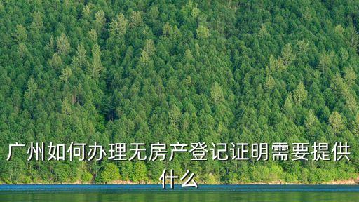 廣州 不動產登記 條件，廣州如何辦理無房產登記證明需要提供什么