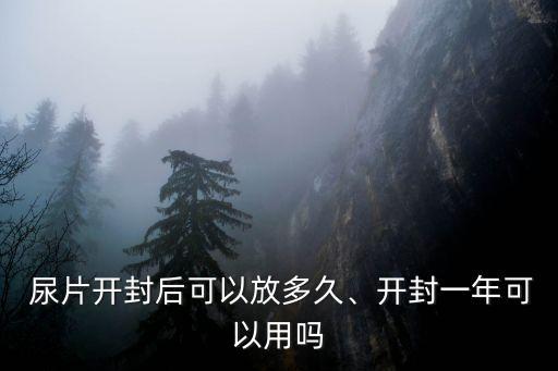 尿片