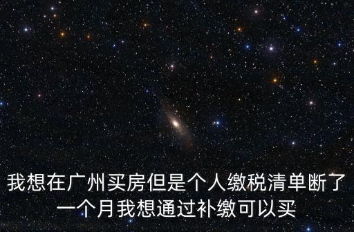 我想在廣州買房但是個(gè)人繳稅清單斷了一個(gè)月我想通過補(bǔ)繳可以買