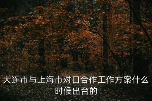 大連市與上海市對口合作項目，大連市與上海市對口合作工作方案什么時候出臺的