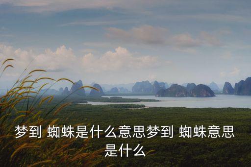 夢到 蜘蛛是什么意思夢到 蜘蛛意思是什么