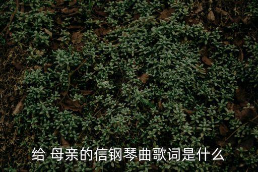 給母親的信,王先生在家信中向母親報平安并常發近照給她