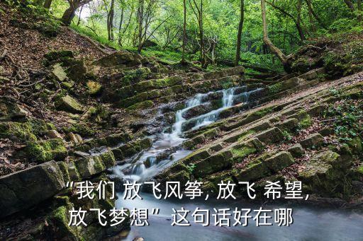 “我們 放飛風箏, 放飛 希望, 放飛夢想”這句話好在哪