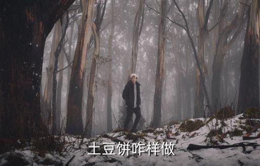  土豆餅咋樣做