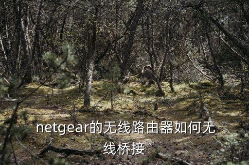  netgear的無(wú)線路由器如何無(wú)線橋接